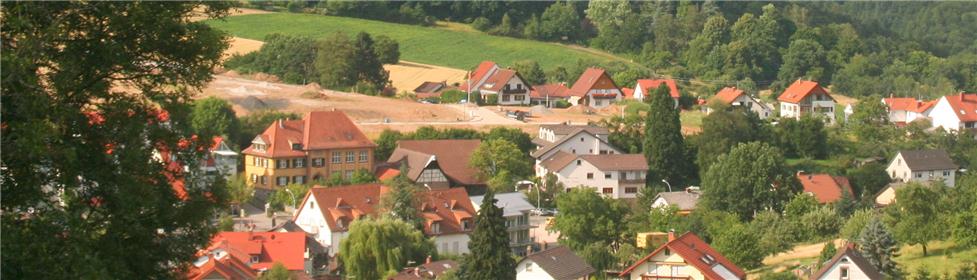 http://www.zur-rose.de